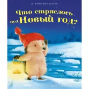 Что стряслось под Новый год?