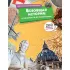 Всеобщая история: от древности до наших дней