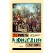 Дон Кихот