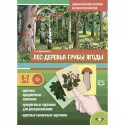 Лес. Деревья. Грибы. Ягоды. 5-7 лет