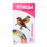 Птицы Среднего Урала. Воробьиные. Неворобьиные