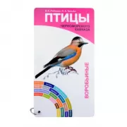 Птицы Черноморского Кавказа. Воробьиные. Неворобьиные