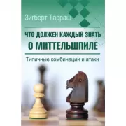 Что должен каждый знать о миттельшпиле. Типичные комбинации и атаки