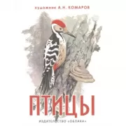 Птицы