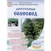Престольный Солесвод. Свод 3