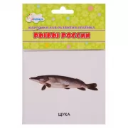 Рыбы России