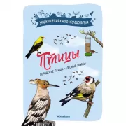 Птицы