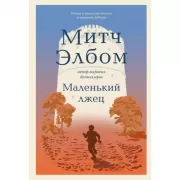 Маленький лжец. Роман-притча