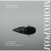 Монохром. Пронзительная красота России в черно-белых фотографиях Ивана Дементиевского