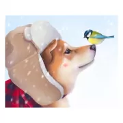 Красота волков