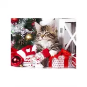 Красота волков