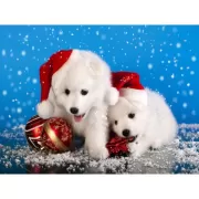 Красота волков