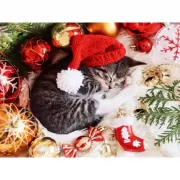 Красота волков