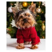 Набор шашек