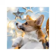 Набор шашек