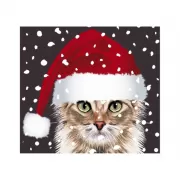 Набор шашек