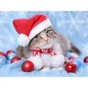 Набор шашек