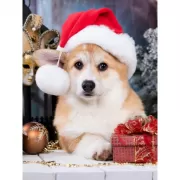 Набор шашек