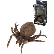 Волшебное слово