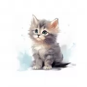 Красота волков