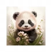 Красота волков