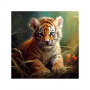 Красота волков