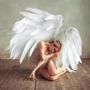 Красота волков