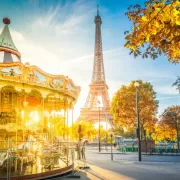 Красота волков