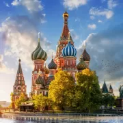 Красота волков