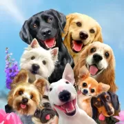 Красота волков