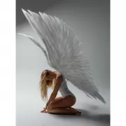 Красота волков