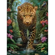 Красота волков