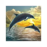 Кто где живет