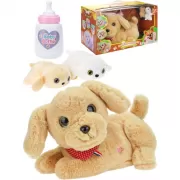 Я не ревную