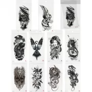 Набор шашек