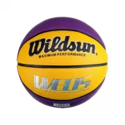 Набор шашек