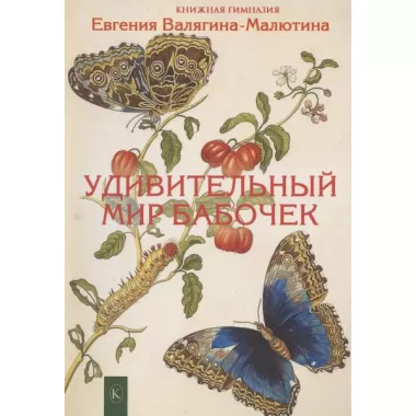 Удивительный мир бабочек