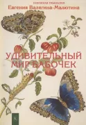 Удивительный мир бабочек