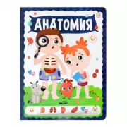 Анатомия