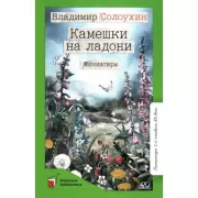 Камешки на ладони. Миниатюры