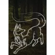 Rumie Nordur