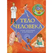 Тело человека. Атлас анатомии в картинках
