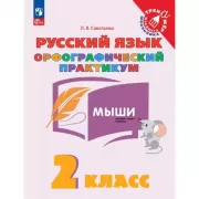 Русский язык. Орфографический практикум. 2 класс