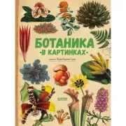 Ботаника в картинках