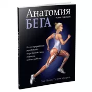 Анатомия бега