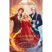 Академия стихий. Танец огня. Душа огня