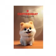 Сертификат о профилактических прививках