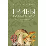 Грибы русского леса. Иллюстрированный определитель
