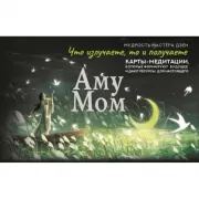 Что излучаете, то и получаете. Карты-медитации, которые формируют будущее и дают ресурсы для настоящего. Мудрость Мастера Дзен