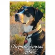 Верные друзья